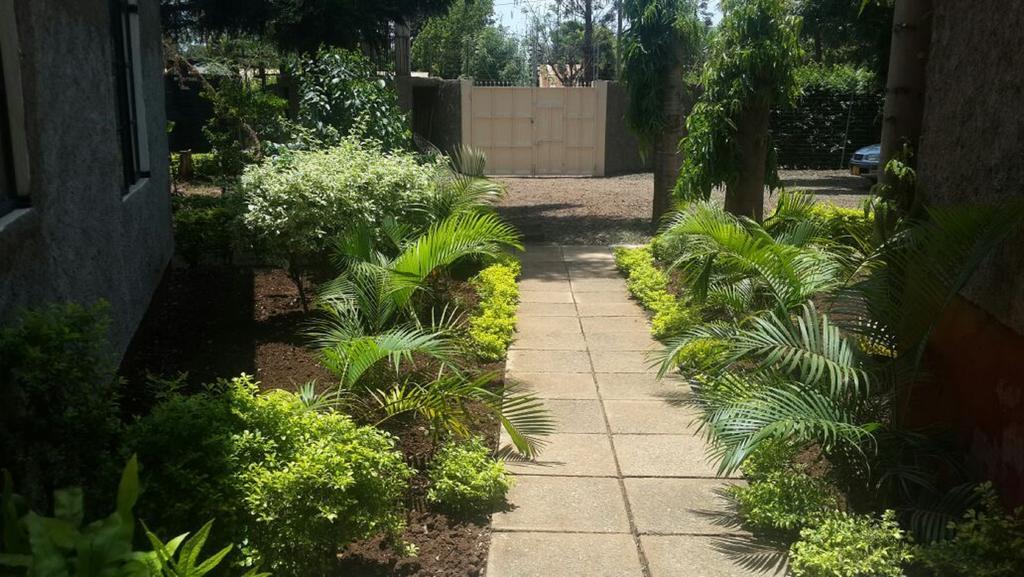 Mama Simba Bed And Breakfast Moshi מושי מראה חיצוני תמונה